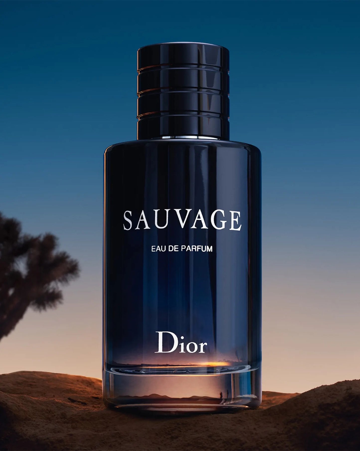 Dior Sauvage EDP